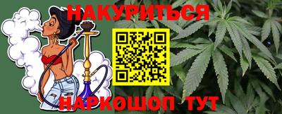 apvp Бийск