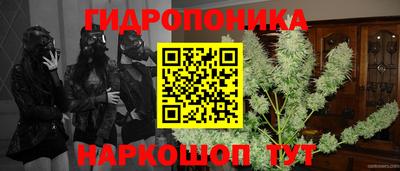 гидра Беслан