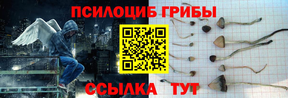 Гашиш Кировск
