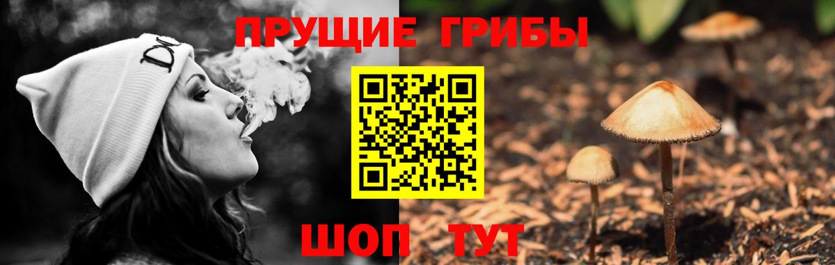 Галлюциногенные грибы прущие грибы  Вход с VPN  Кировск  Галлюциногенные грибы Magic Shrooms 